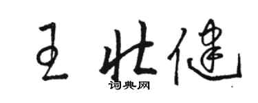 駱恆光王壯健草書個性簽名怎么寫