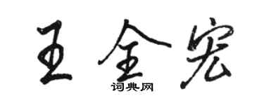 駱恆光王全宏行書個性簽名怎么寫