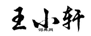 胡問遂王小軒行書個性簽名怎么寫