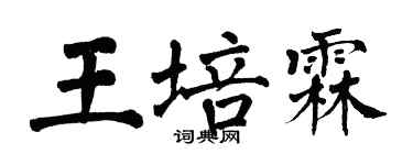 翁闓運王培霖楷書個性簽名怎么寫
