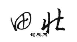 駱恆光田壯草書個性簽名怎么寫