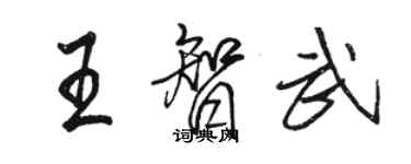 駱恆光王智武行書個性簽名怎么寫