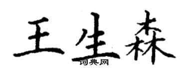 丁謙王生森楷書個性簽名怎么寫