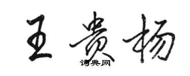 駱恆光王貴楊行書個性簽名怎么寫