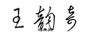 駱恆光王韻奇草書個性簽名怎么寫