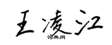 王正良王凌江行書個性簽名怎么寫