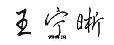 駱恆光王寧晰行書個性簽名怎么寫