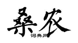 翁闓運桑農楷書個性簽名怎么寫