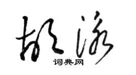 駱恆光胡泳草書個性簽名怎么寫