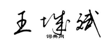 梁錦英王城斌草書個性簽名怎么寫