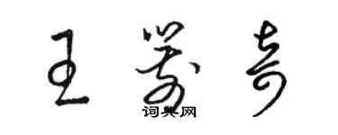 駱恆光王箭奇草書個性簽名怎么寫