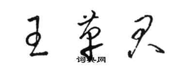 駱恆光王革君草書個性簽名怎么寫