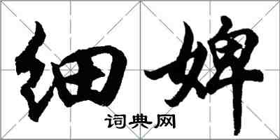 胡問遂細婢行書怎么寫