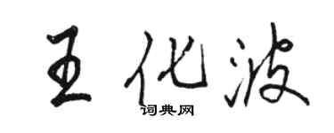 駱恆光王化波行書個性簽名怎么寫