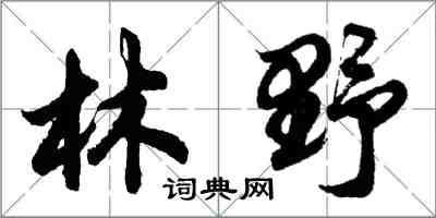 胡問遂林野行書怎么寫