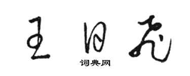 駱恆光王日飛草書個性簽名怎么寫