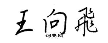 王正良王向飛行書個性簽名怎么寫