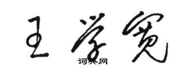 駱恆光王學寬草書個性簽名怎么寫