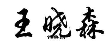 胡問遂王曉森行書個性簽名怎么寫