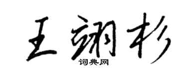 王正良王翊杉行書個性簽名怎么寫