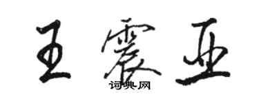 駱恆光王震亞行書個性簽名怎么寫