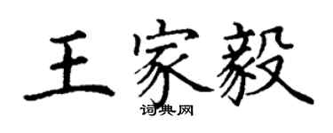 丁謙王家毅楷書個性簽名怎么寫