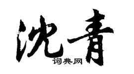 胡問遂沈青行書個性簽名怎么寫