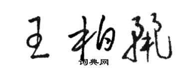 駱恆光王柏麗草書個性簽名怎么寫