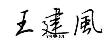 王正良王建風行書個性簽名怎么寫