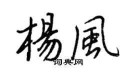 王正良楊風行書個性簽名怎么寫