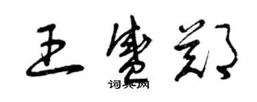 曾慶福王盛鄭草書個性簽名怎么寫