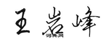 駱恆光王岩峰行書個性簽名怎么寫