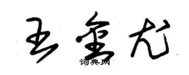 朱錫榮王金尤草書個性簽名怎么寫