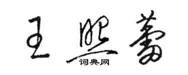 駱恆光王照蕾草書個性簽名怎么寫