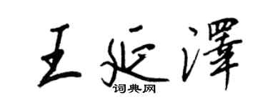 王正良王延澤行書個性簽名怎么寫
