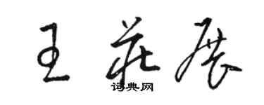 駱恆光王莊展草書個性簽名怎么寫