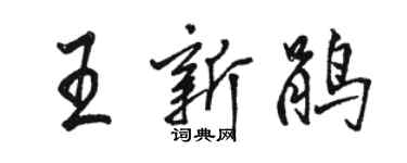 駱恆光王新鵑行書個性簽名怎么寫