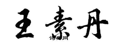 胡問遂王素丹行書個性簽名怎么寫