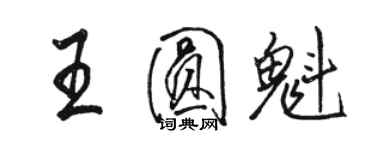 駱恆光王圓魁行書個性簽名怎么寫