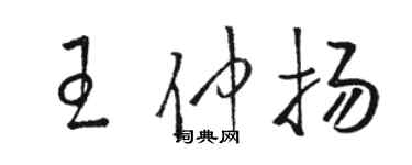 駱恆光王仲揚草書個性簽名怎么寫