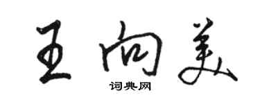 駱恆光王向美行書個性簽名怎么寫