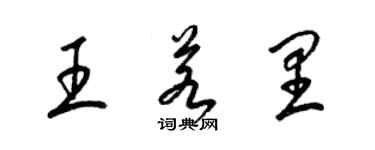 梁錦英王若里草書個性簽名怎么寫