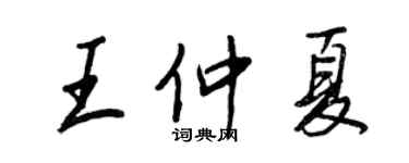 王正良王仲夏行書個性簽名怎么寫