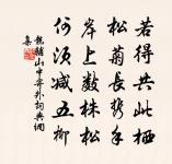 洞仙歌 述懷原文_洞仙歌 述懷的賞析_古詩文