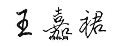 駱恆光王嘉裙行書個性簽名怎么寫