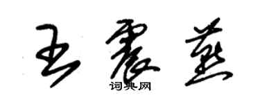 朱錫榮王震燕草書個性簽名怎么寫