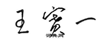 駱恆光王賽一草書個性簽名怎么寫