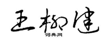 曾慶福王柳健草書個性簽名怎么寫