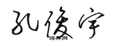 駱恆光孔俊宇草書個性簽名怎么寫
