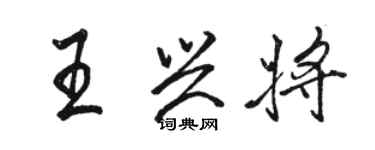 駱恆光王興將行書個性簽名怎么寫